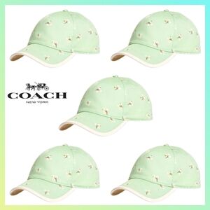 WHOLESALE 5 COACH FLORAL PRINT BASEBALL HATS IN LIGHT GREEN, ADJUSTABLE, RARE!